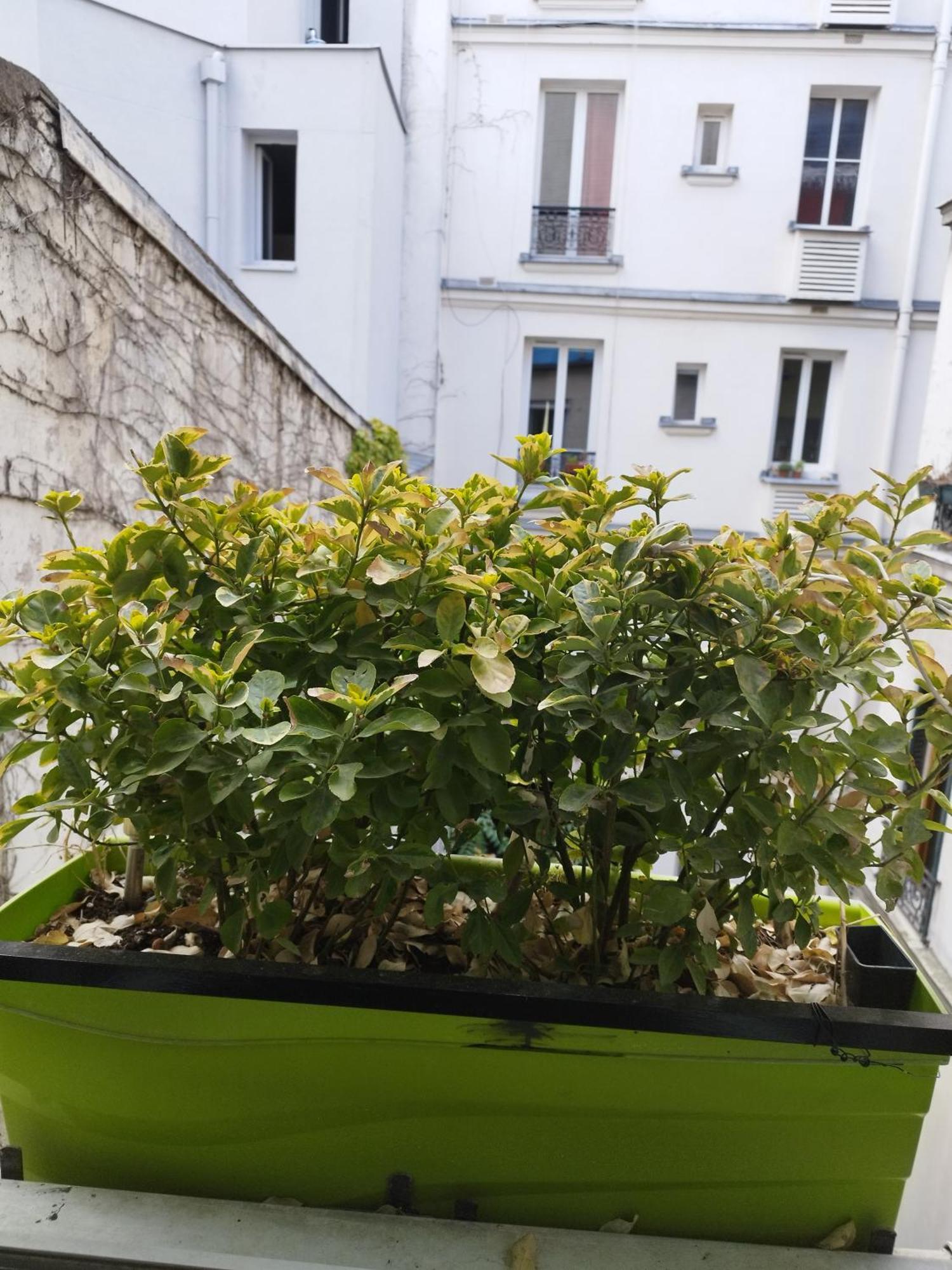 Appartement Petit Cocon Parisien ! Paris Centre - Gare Du Nord Chambre photo